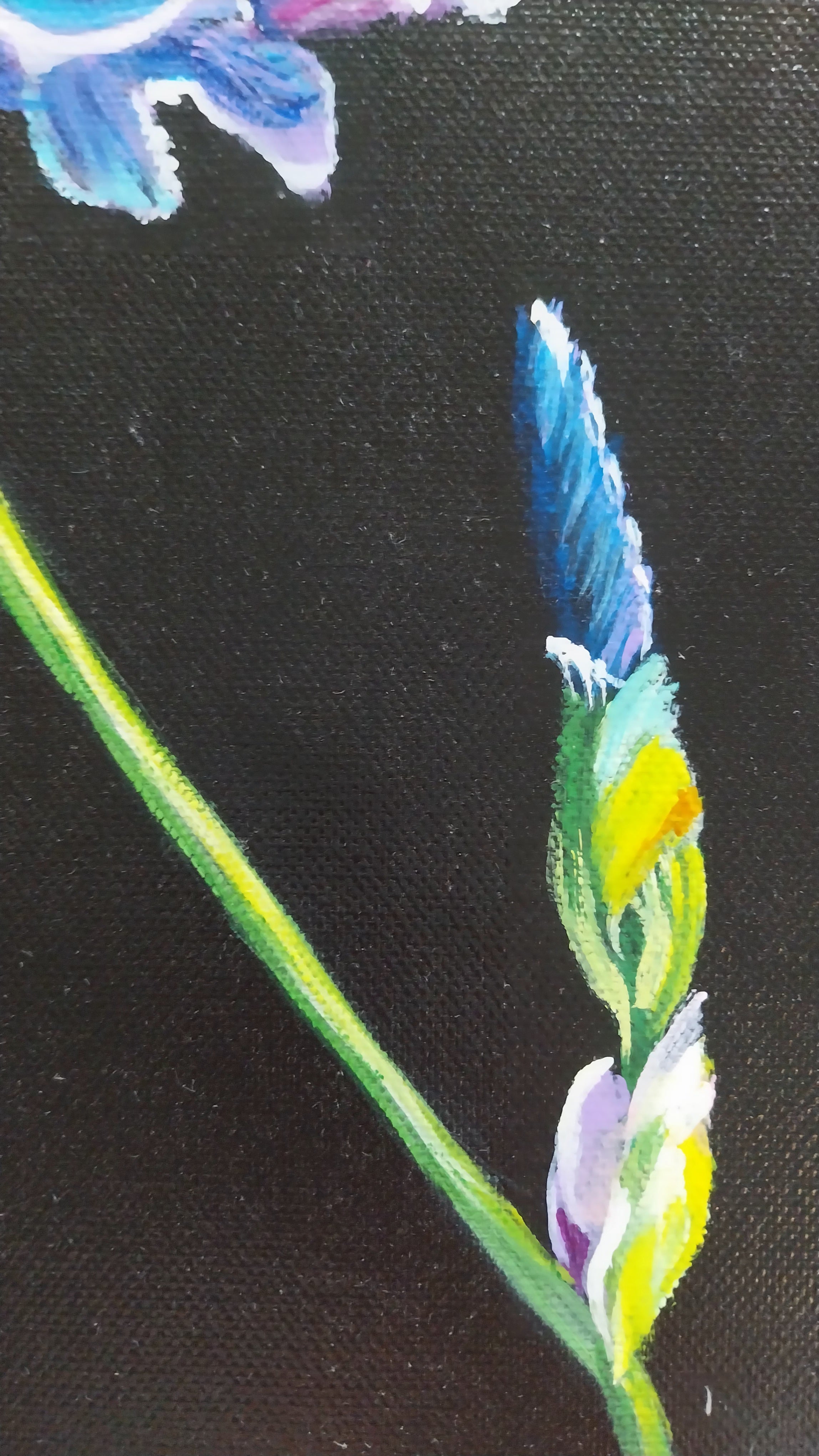 Irisblume auf schwarzen Hintergrund,  30x30cm